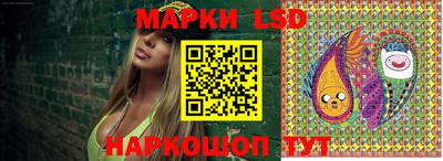 кокс Можга